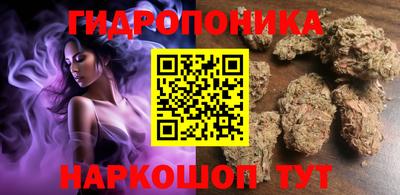 молекула духа Брянск