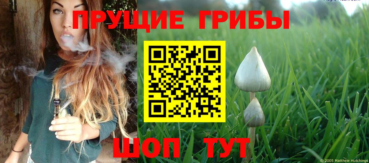 наркота  Вход с VPN  Псилоцибиновые грибы мухоморы  Большой Камень  Галлюциногенные грибы Psilocybine cubensis 