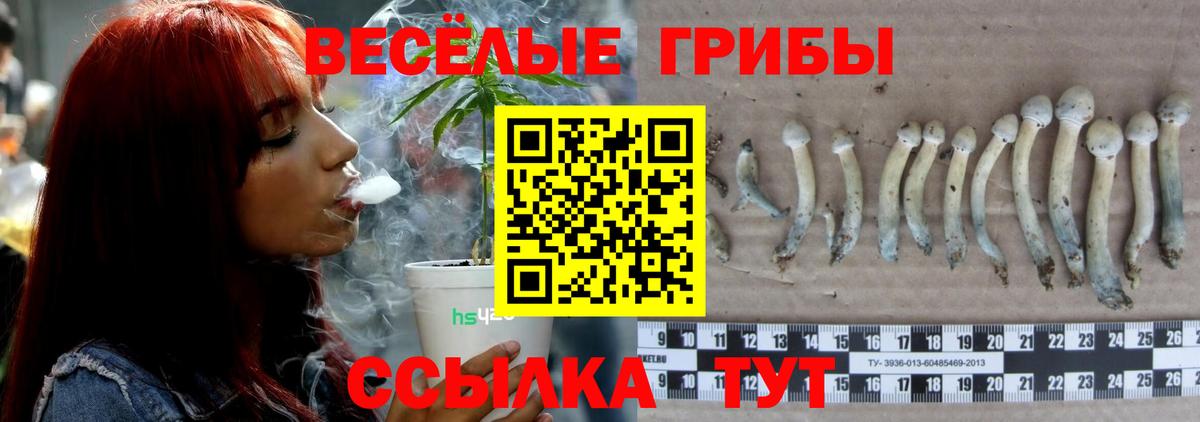 ГАШИШ  Большой Камень  Кокаин  МДМА  МЕФ кристаллы  Магазины продажи наркотиков  Кетамин  МАРИХУАНА  Вход с VPN 